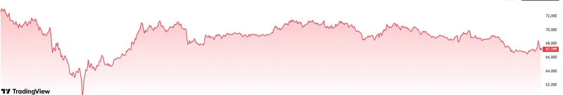 Bitcoin price in the past 7 days. Source: Tradingview.com